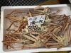 「鮮魚パックいろいろ販売中‼️〆鯖も販売致します🐳」