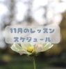 11月のスケジュール「11月のレッスンスケジュール」