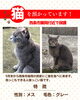 「迷い猫を保護しています【西条市飯岡付近】」