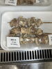 割引き「お惣菜火曜日割引き実施中」
