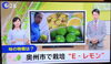 「 IBC岩手放送ニュースエコー「旬感いわて」☆」