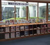 「村上市中央図書館に新たに「オレンジページ」と「子供の科学」を提供いたします」