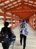 厳島神社にお参り「旅の同行支援　宮島をもう一度訪ねたい」
