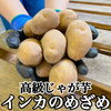 「掲載中【インカのめざめ】のご紹介🗣️」