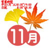 営業予定「11月の営業予定」