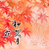 神在月（神無月）「今日から神無月に入ります。　いえ、ここら一帯だけは神在月です。」