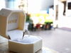 「プロポーズ男子は1人で来店するの？【サプライズをお考えの男性へ】」