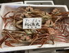 「鮮魚パックいろいろ販売中‼️〆鯖も販売致します🐳」