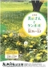 「必見！まいぷれプレゼント企画♪ 坂村真民記念館 企画展「真民さんとタンポポ」」