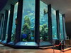 メイン水槽「静岡県にある世界的に有名な水族館が閉館/静岡で水槽のプロデュースはアクアデザインブルース/島田市/熱帯魚/」