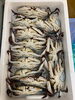 「ハラコ販売中でーす‼️鮮魚パックいろいろ販売中‼️〆鯖も販売致します🐳」