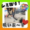 「《シートクリーニング シミ取り》シートクリーニング 淡路島 車検 手洗い洗車 きれいな中古車屋さん 板金 塗装 オイル交換 新車・中古車販売、買取」