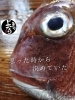 「天然ダイ入荷致しました
【浜町の海鮮居酒屋 上なり】」