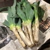 「【旬の野菜をしちりんで…】」