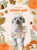 「Dog salon mofu mofu　余市町」