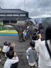 お寺に恐竜出現！「寺フェス」