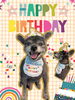 「Dog salon mofu mofu　余市町」