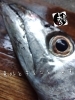 「太刀魚入荷致しました
【浜町の海鮮居酒屋 上なり】」