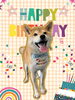 「Dog salon mofu mofu　余市町」