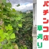 【草刈り✖️彦根市】