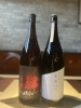 「新酒2種❣️」