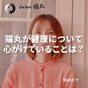 「お客さまからよくあるご質問「猫丸が心がけている健康法」(=^ェ^=) 整体・オイル・リーディング・占い・顔そり・氣功」