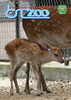 「愛媛動物友の会活動」