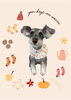 「Dog salon mofu mofu　余市町」