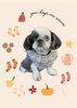 「Dog salon mofu mofu　余市町」