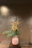 スッキリと「料亭にて」
