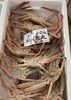 「ハラコ販売中でーす‼️鮮魚パックいろいろ販売中‼️〆鯖も販売致します🐳」