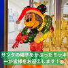 「✨🎄【冬のイルミネーション開催中！】🎄✨」