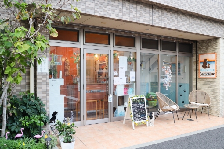 ハワイアンテイストの店内です🌺「わんちゃん飼い主様に寄り添ったトリミングサロンです🐶」