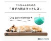 「【NEW】Dogケアマットレス登場！」