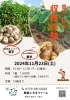 「里芋・菊芋収穫体験のお知らせ📢」