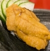 「栄養豊富なウニ！　京阪本線牧野駅より徒歩1分🍣」