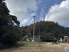 2024年11月11日の様子「【新居浜市滝の宮町】滝の宮公園の紅葉速報！」