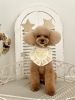 モカちゃん「星に願いを⭐️」