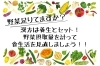 「昨日何食べた！？野菜摂取量を測ってみよう🍅🥦」