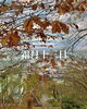 「Wednesday, 13th November 2024」