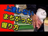 「初心者必見！正しいグリップで劇的スコアアップ【船橋でゴルフを上達させるなら、ゴルフ飛ばしてなんぼ！スタジオ🏌️‍♂️】」