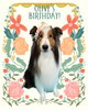 「Dog salon mofu mofu　余市町」