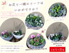 「【泉佐野市、貝塚市、熊取町でお住まい】のガーデニング大好きな方、ガーデニング初心者方にオススメの花屋りっちゅ園芸情報」