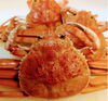 「コッペかに（セコかに）入荷しました！！✨　カニがおいしい季節がやってきました🦀」