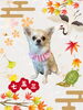 「Dog salon mofu mofu　余市町」