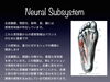 足部のニューラルシステム「先日足部のお話しを出してましたね」