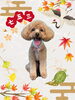 「Dog salon mofu mofu　余市町」