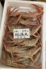 「ハラコ販売中でーす‼️鮮魚パックいろいろ販売中‼️〆鯖も販売致します🐳」