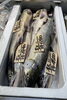 「ハラコ販売中でーす‼️鮮魚パックいろいろ販売中‼️〆鯖も販売致します🐳」