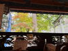 「まいづる茶屋では紅葉を見ながらお食事ができます🍂🍁」